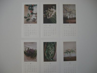画像1: 椿野恵里子　 2024年カレンダー　花と果実